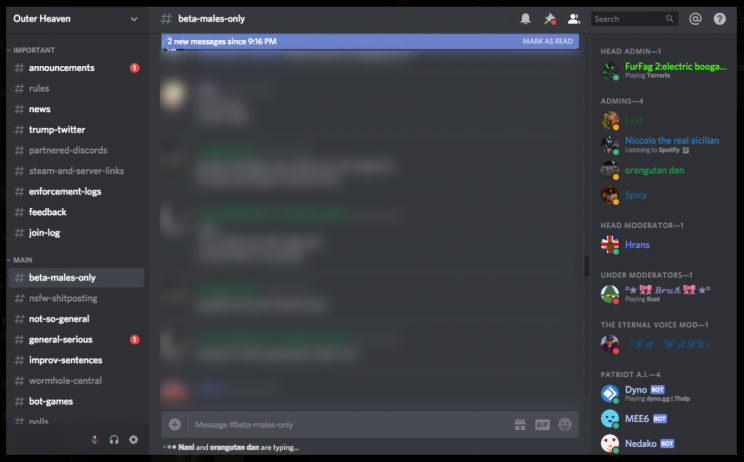 Neo Nazis Use Discord Chats To Promote New Zealand Copycat