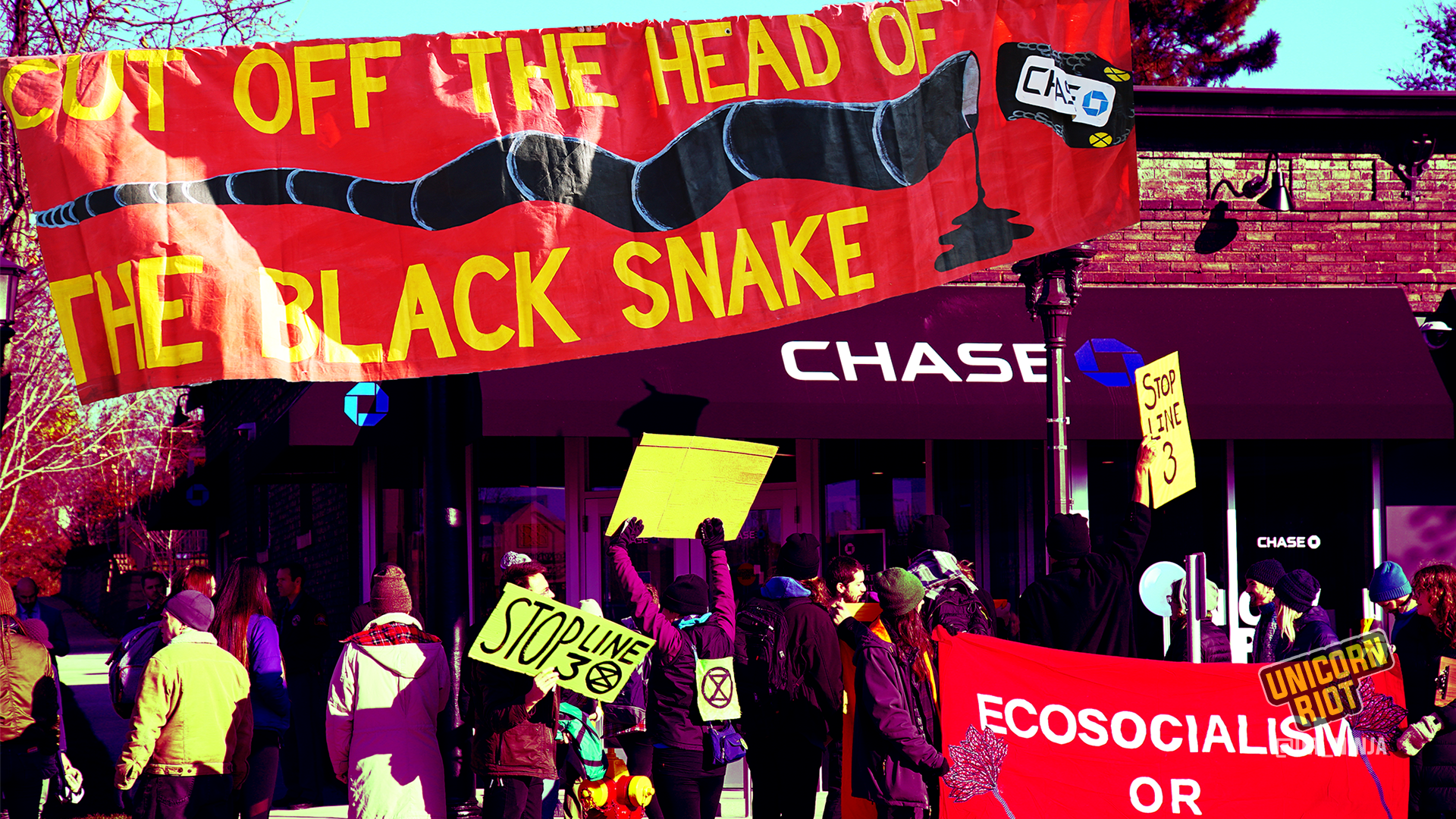 cover image showing outside of rally at Chase Bank in St. Paul with a large banner that says "cut off the head of the black snake" with the "Chase" logo on the head of a painted black snake