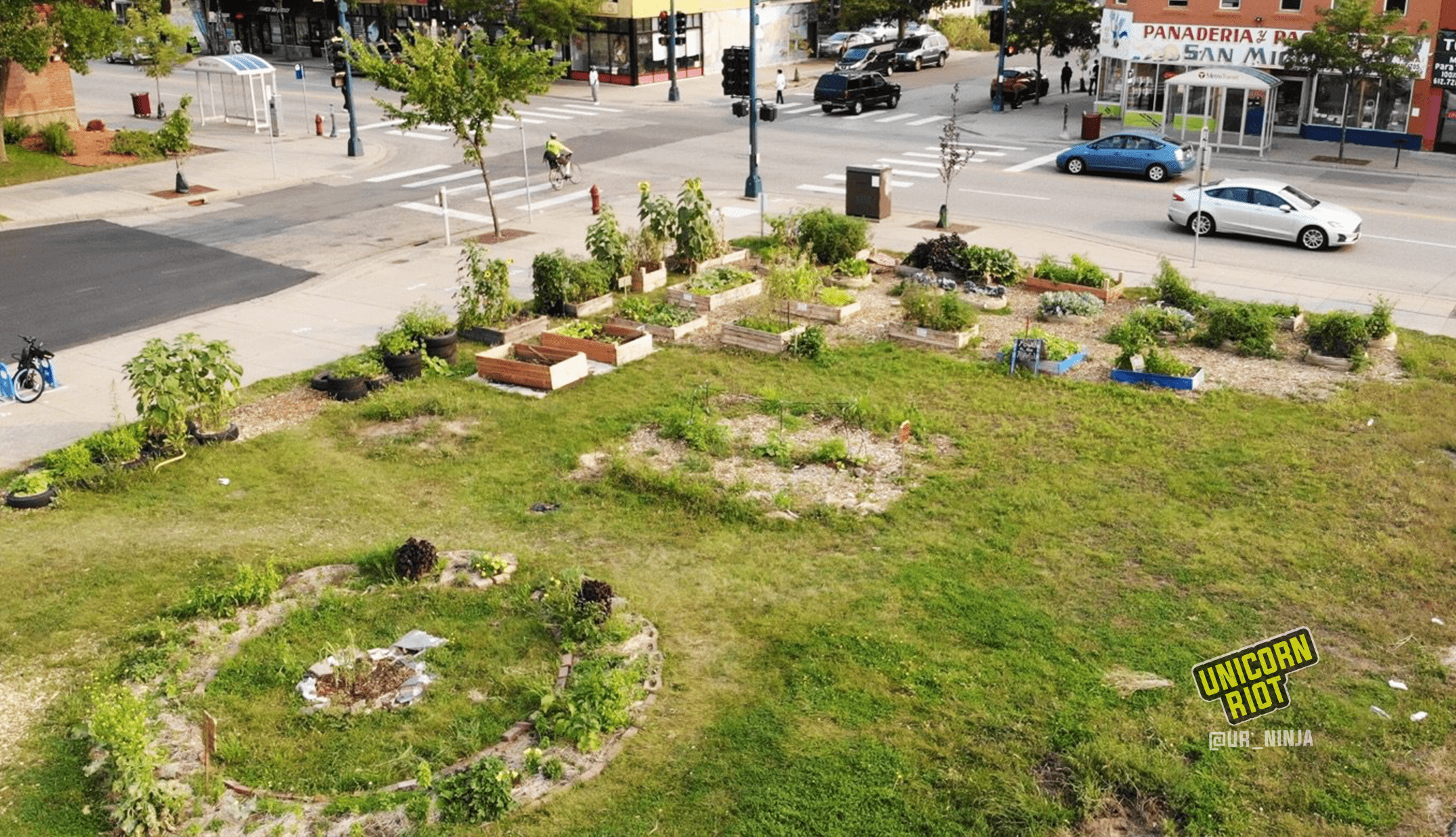 image: an overhead shot of the Lake Street Open Growth Space showing garden beds around the perimeter beside 17th avenue and Lake street. To the left of the photo there is a circular garden with herbs and medicinal plants planted alongside flowers around a plum tree. Across Lake street is a local Panaderia / Tortilleria.