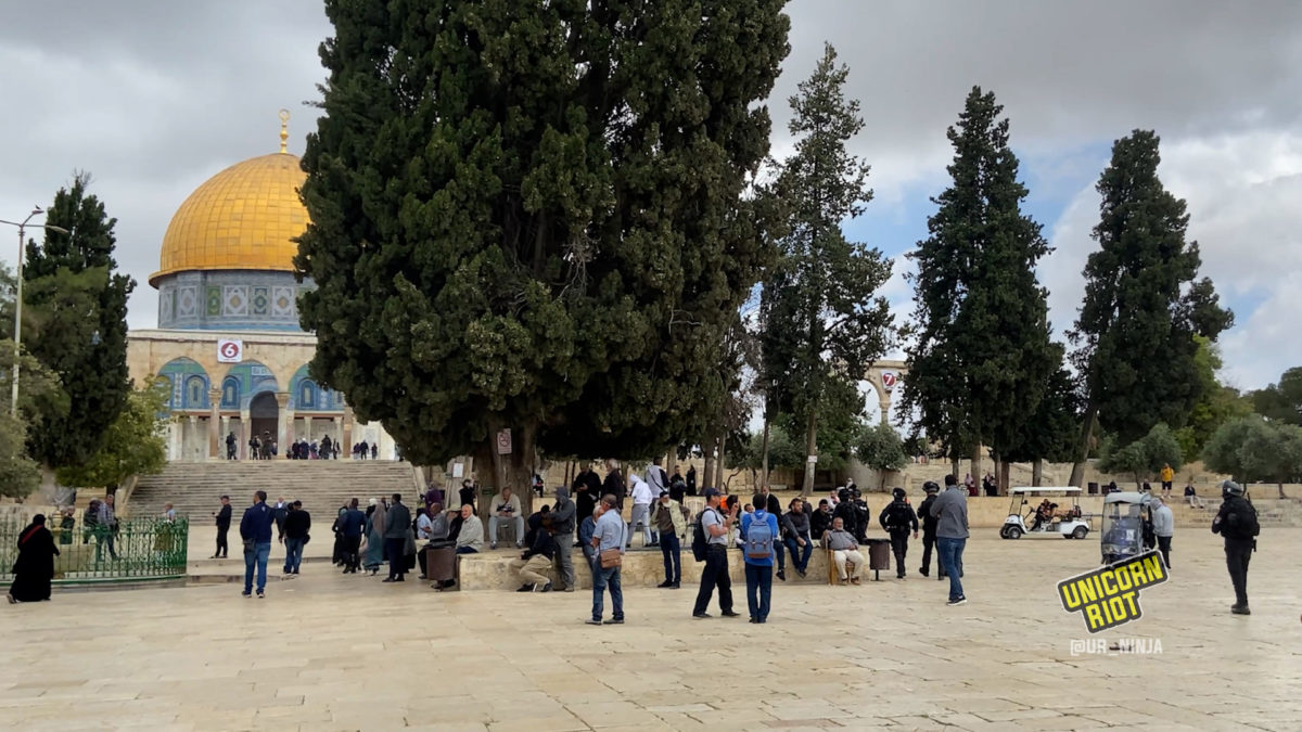 Israeli Forces Clear Al-Aqsa for Settlers' Tours - UNICORN RIOT