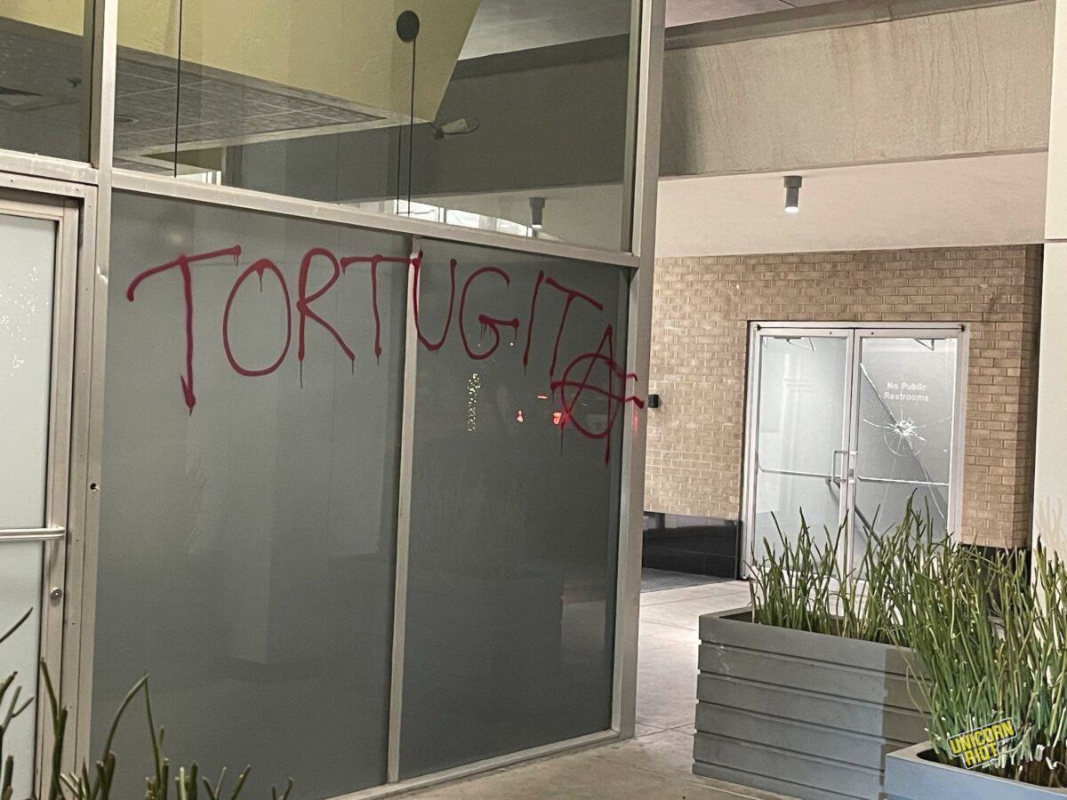 'Tortuguita' in red with the A turned into a Circle-A sprayed on a floor-to-ceiling window in an office part type location well lit at night with plants in planters
