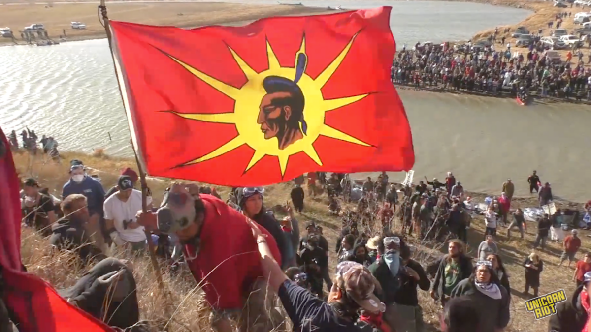 Turtle Riot Formation Indigenous Writer Gord Hill on Resistance Art History - UNICORN RIOT