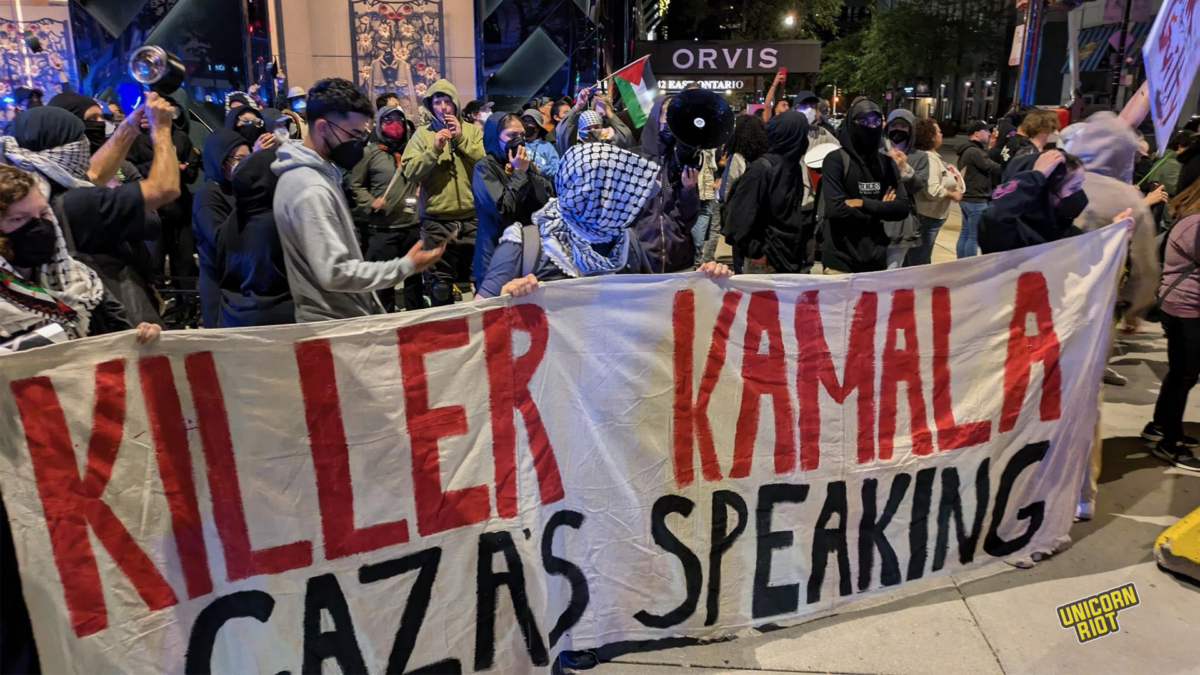 Nights of DNC noise demonstrations for Palestine near Salt Shed, Harris Hotel in Streeterville, T-Pain show