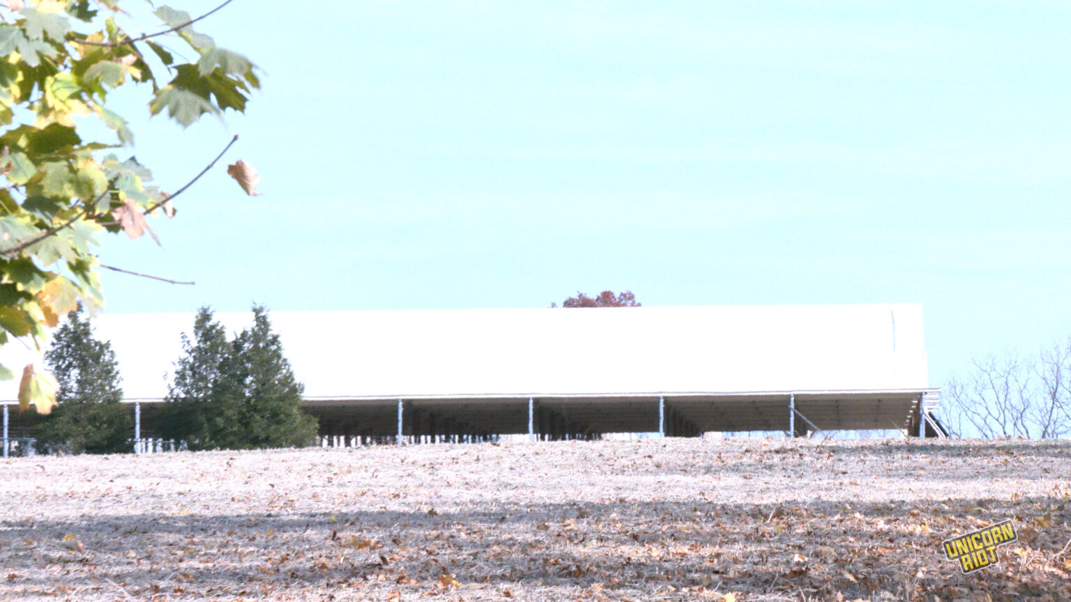 'Northumberland 2' Free on Bail After Alleged Mink Release in PA Felony ...